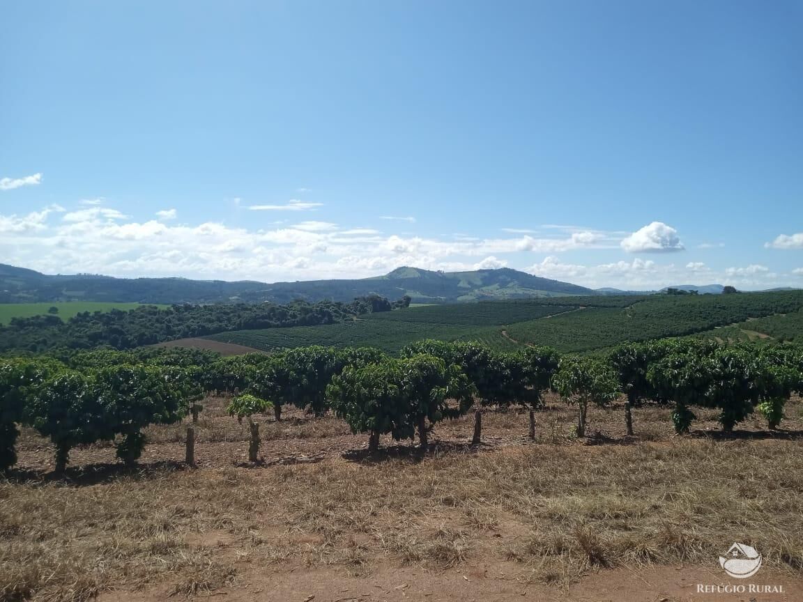 Fazenda, 99 hectares - Foto 10