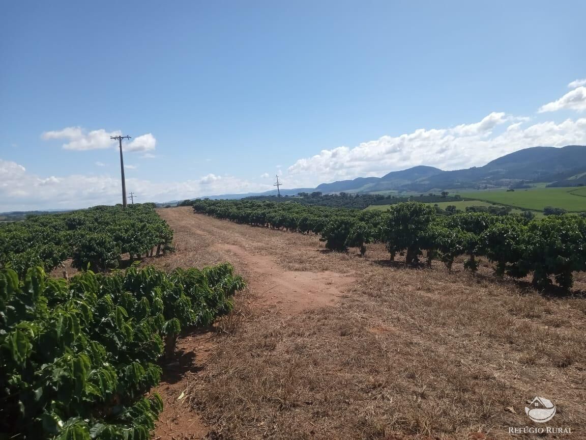 Fazenda, 99 hectares - Foto 11