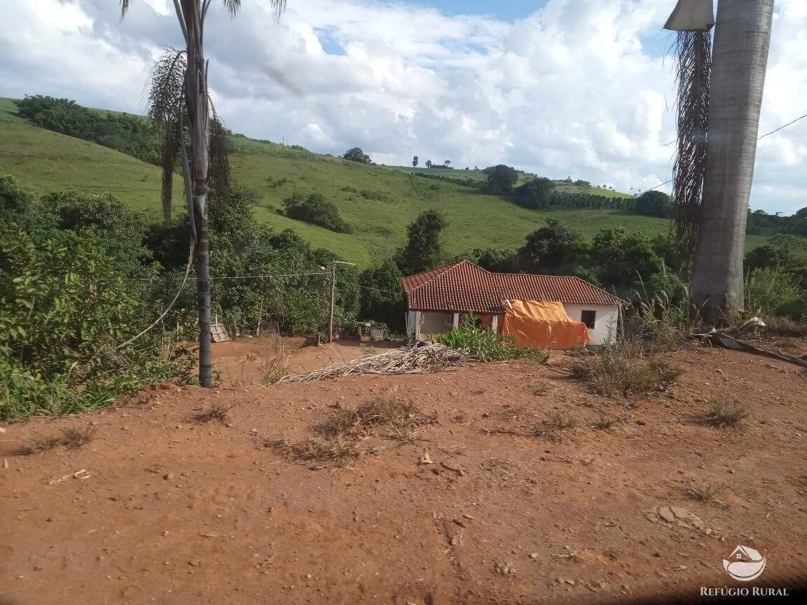 Fazenda, 99 hectares - Foto 7