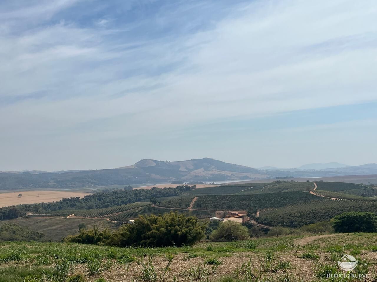 Fazenda, 99 hectares - Foto 6