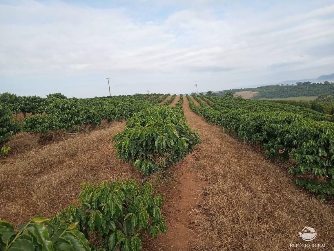 Fazenda, 99 hectares - Foto 4