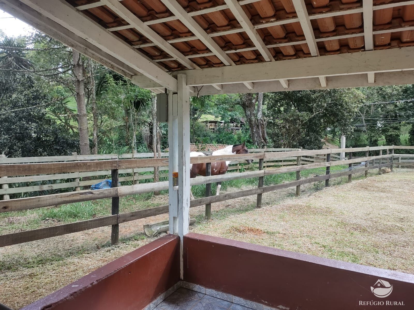 Fazenda à venda com 2 quartos, 18000m² - Foto 9