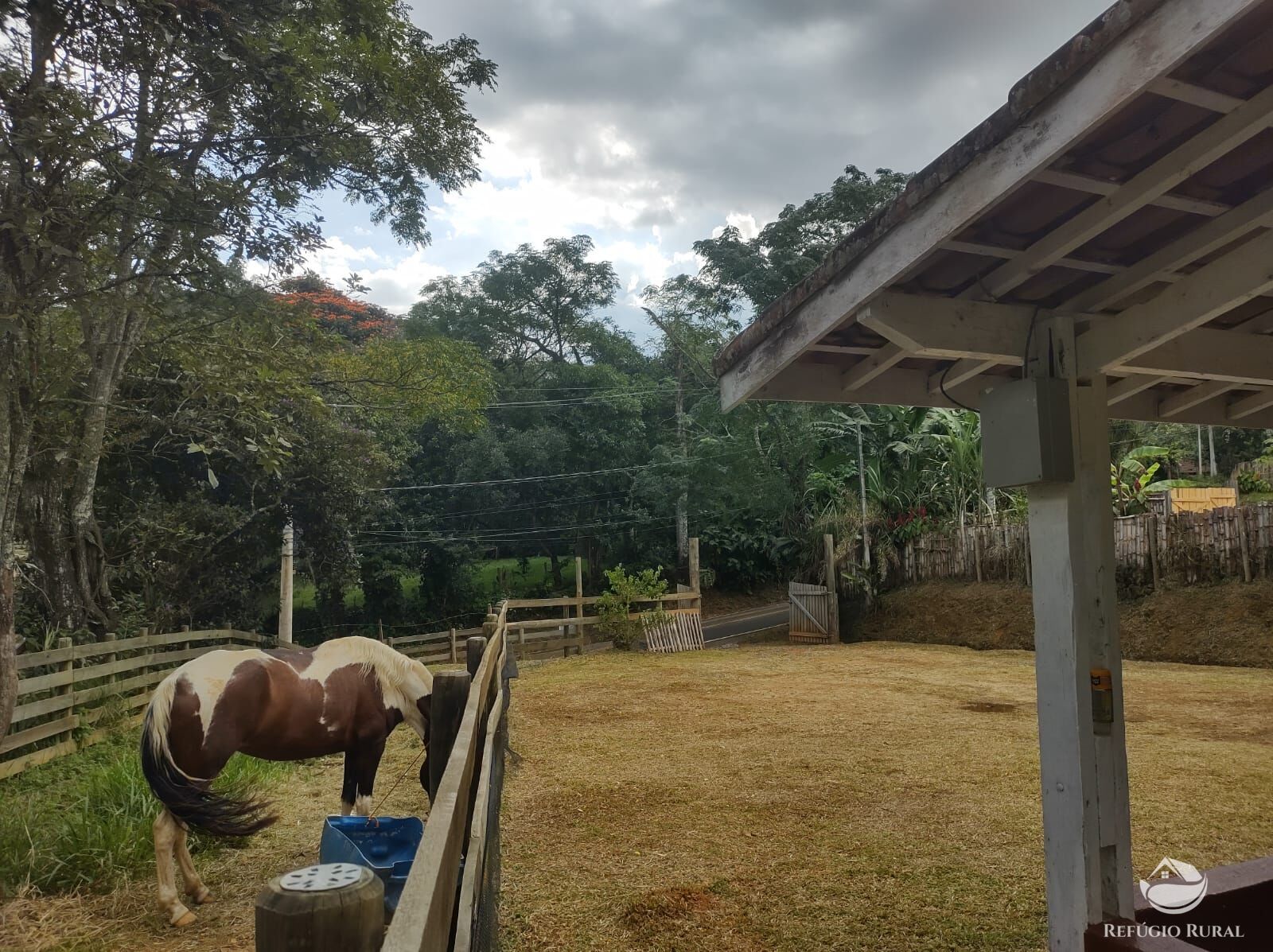 Fazenda à venda com 2 quartos, 18000m² - Foto 3