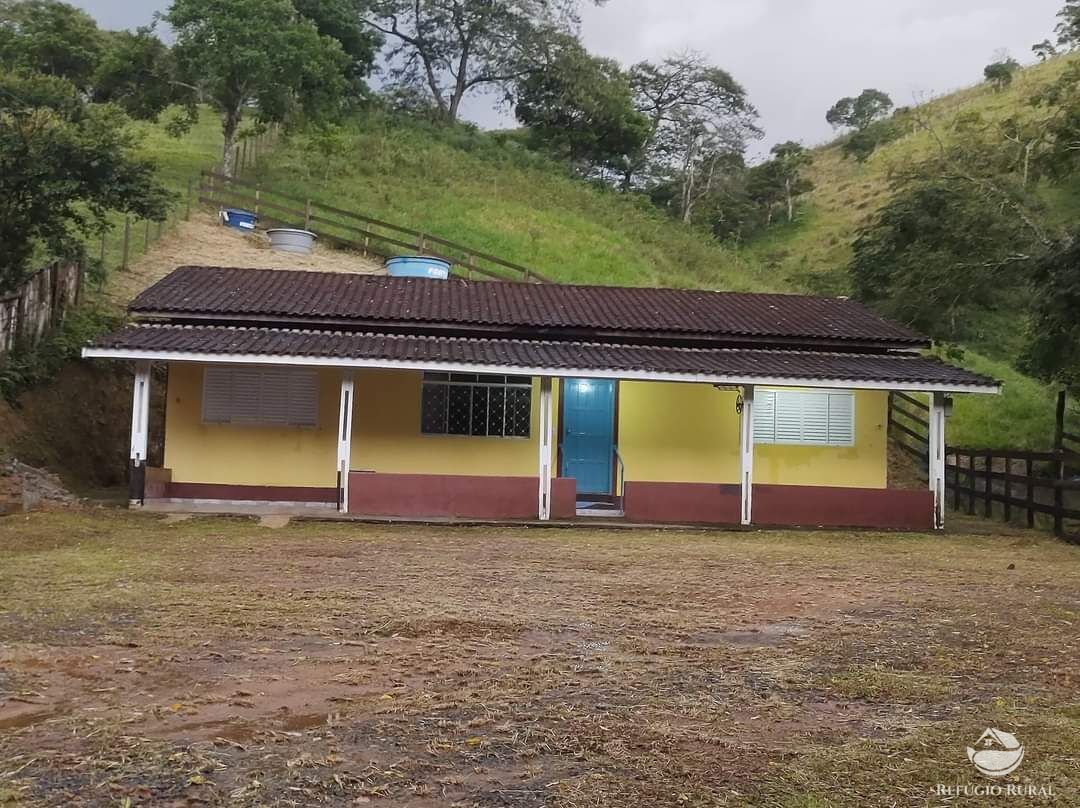 Fazenda à venda com 2 quartos, 18000m² - Foto 4