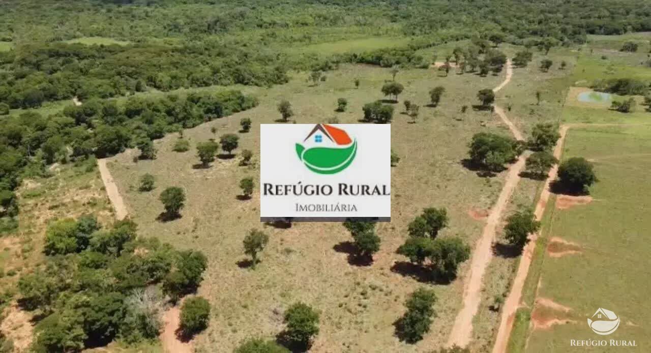 Fazenda à venda com 1 quarto, 150000m² - Foto 5