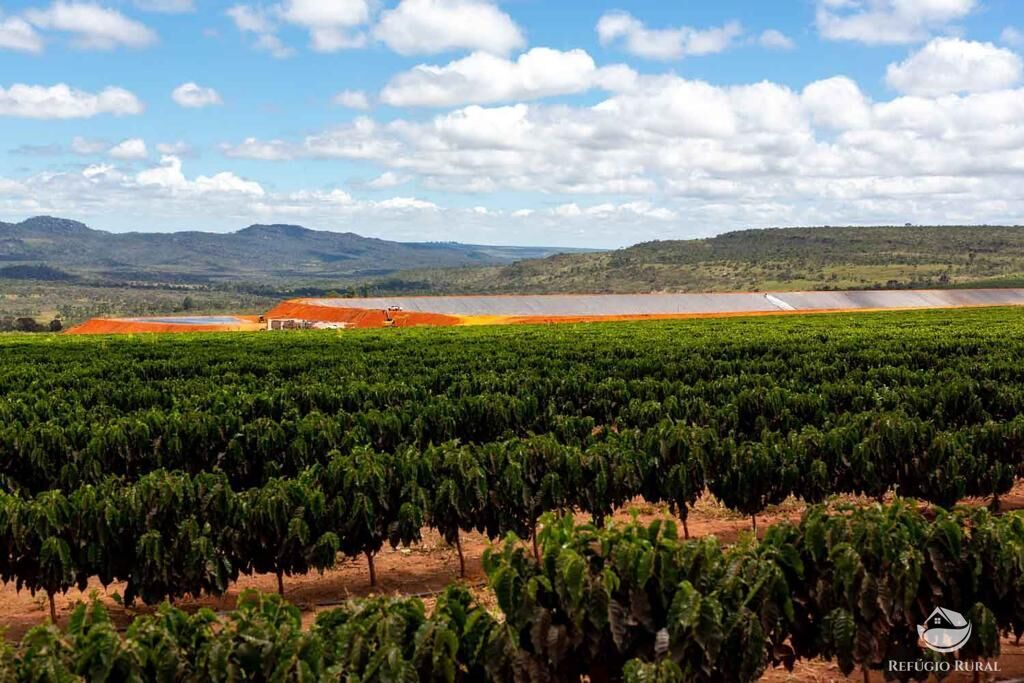 Fazenda à venda com 3 quartos, 30000000m² - Foto 8