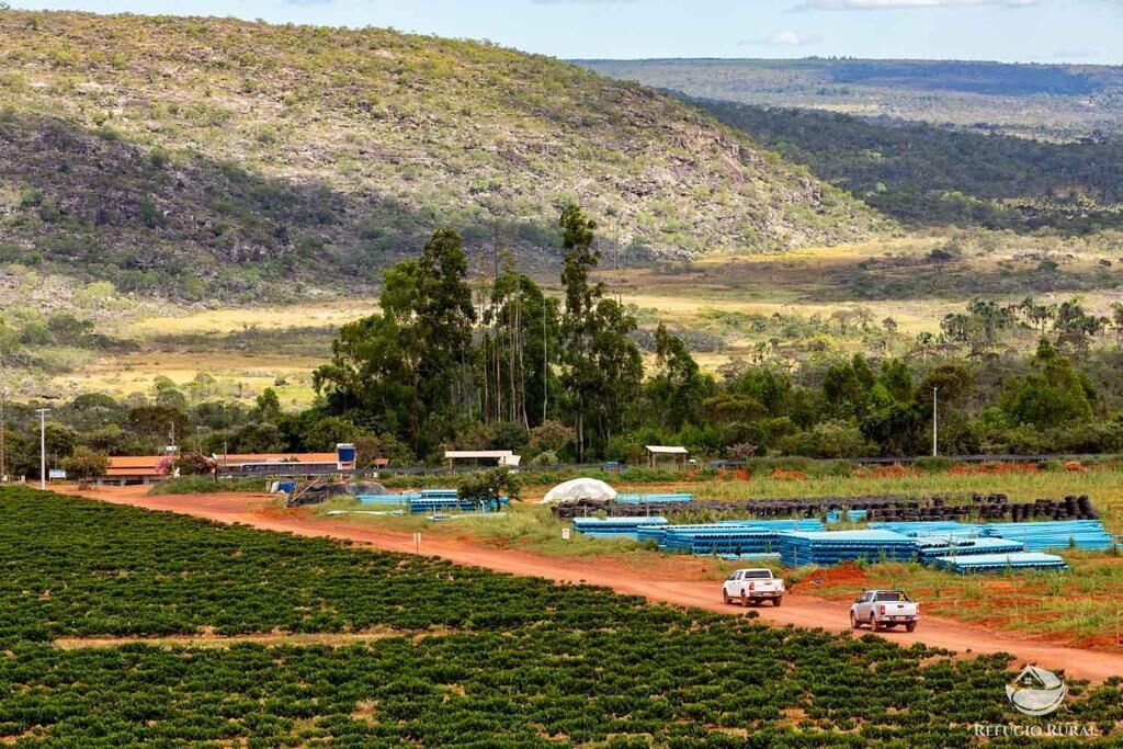 Fazenda à venda com 3 quartos, 30000000m² - Foto 4