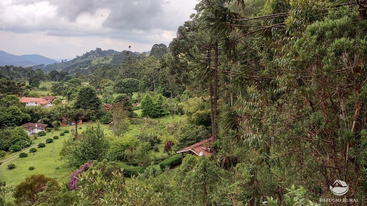 Fazenda à venda com 3 quartos, 36000m² - Foto 9