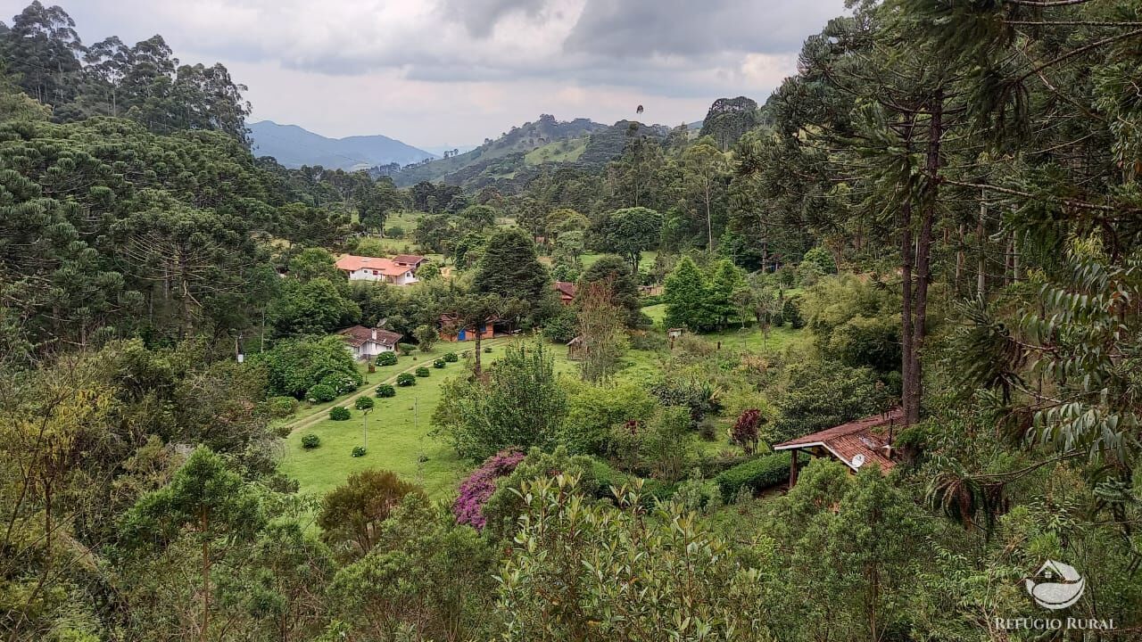 Fazenda à venda com 3 quartos, 36000m² - Foto 4