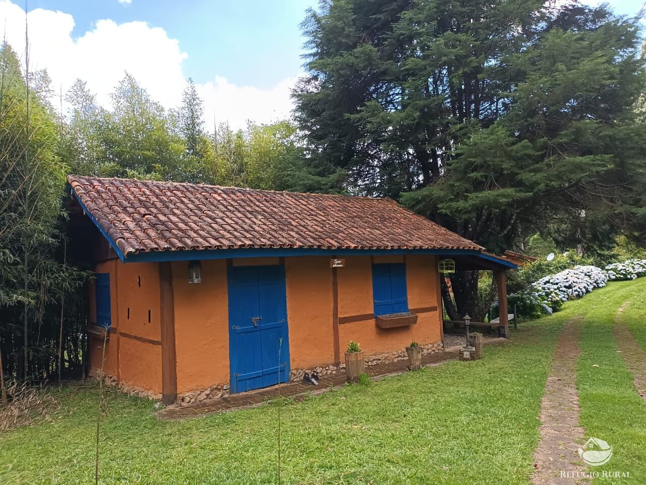 Fazenda à venda com 3 quartos, 36000m² - Foto 3