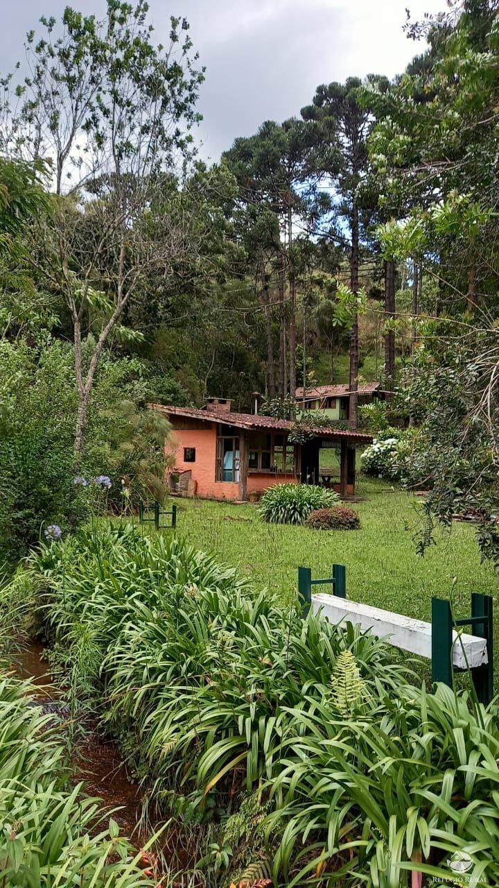 Fazenda à venda com 3 quartos, 36000m² - Foto 2