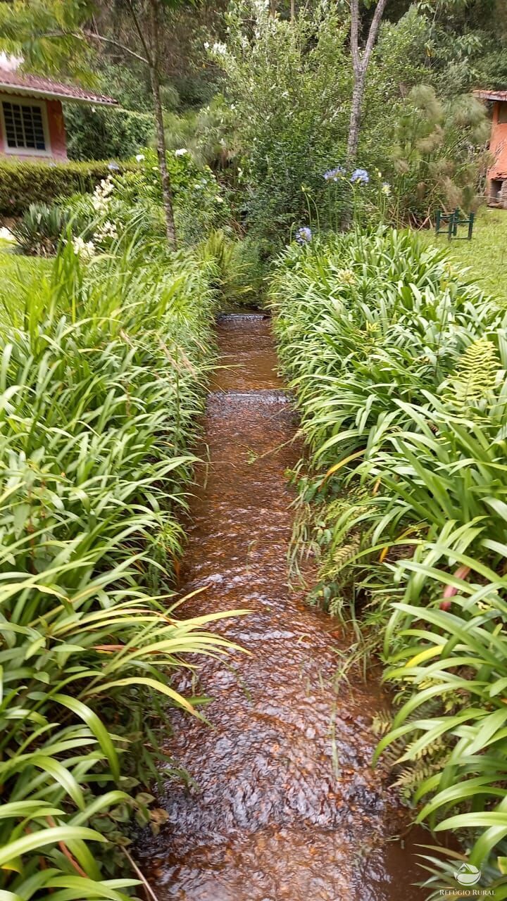 Fazenda à venda com 3 quartos, 36000m² - Foto 8