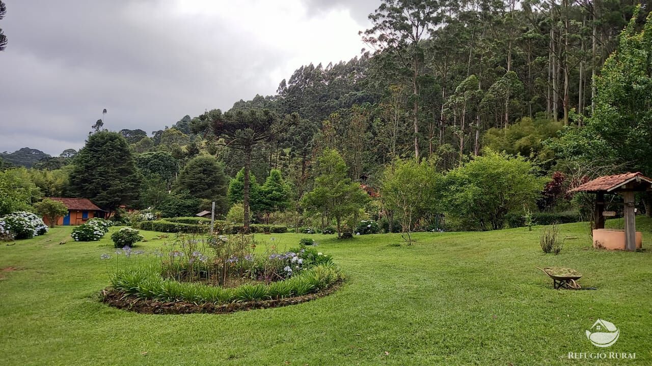 Fazenda à venda com 3 quartos, 36000m² - Foto 15