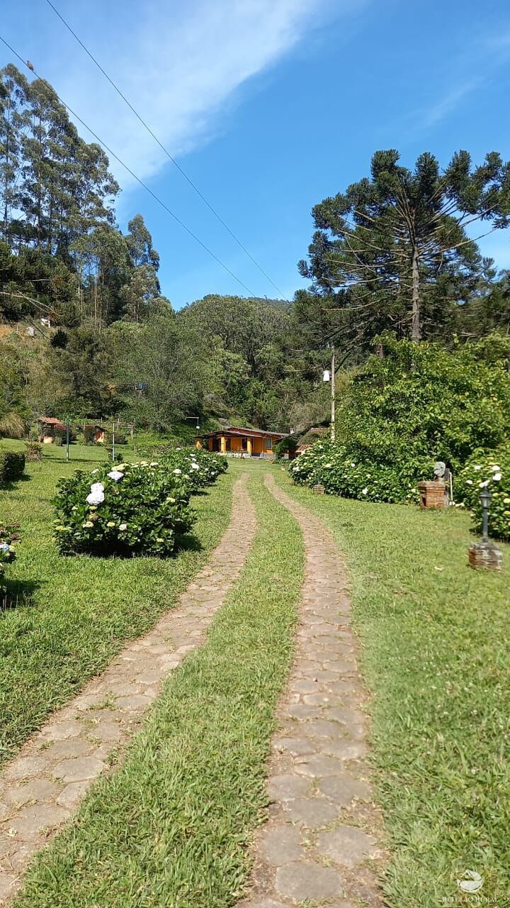 Fazenda à venda com 3 quartos, 36000m² - Foto 16