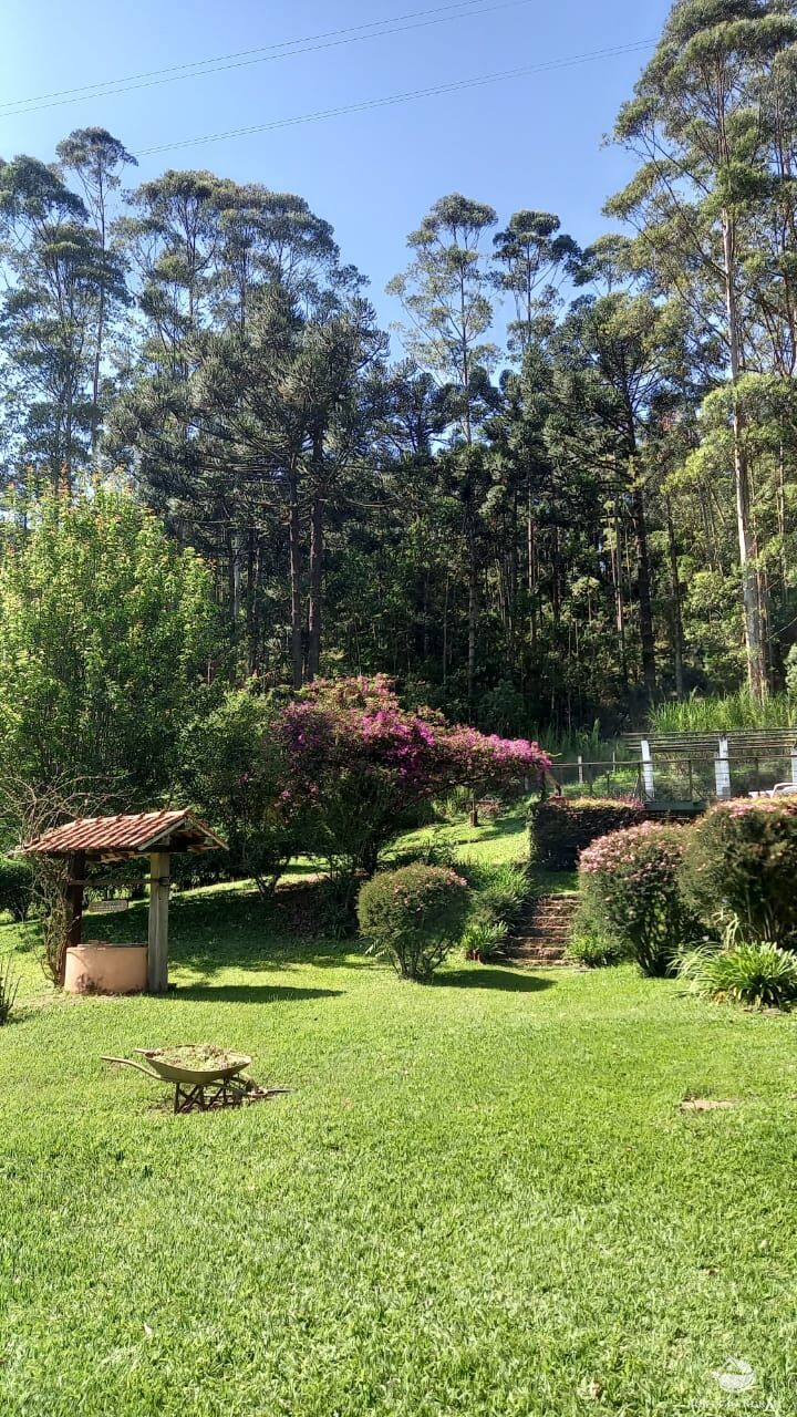 Fazenda à venda com 3 quartos, 36000m² - Foto 23