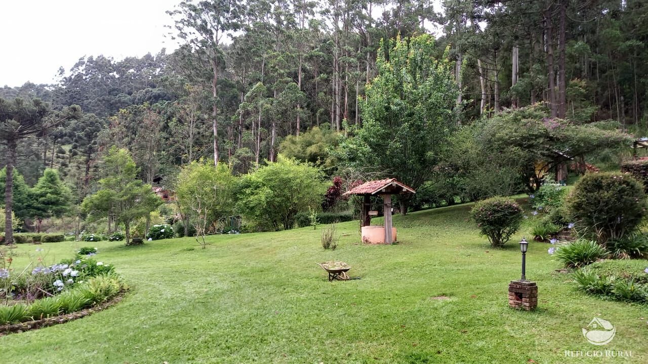 Fazenda à venda com 3 quartos, 36000m² - Foto 11