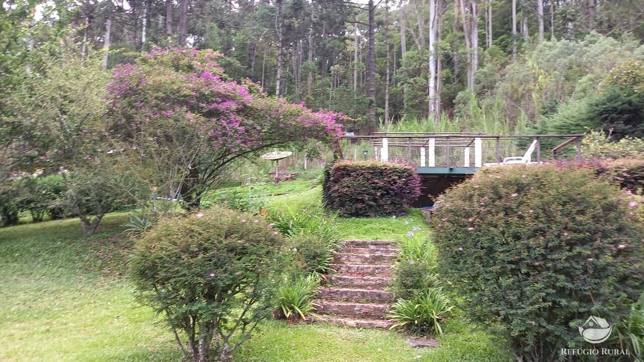 Fazenda à venda com 3 quartos, 36000m² - Foto 19