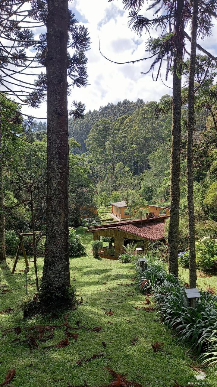 Fazenda à venda com 3 quartos, 36000m² - Foto 21