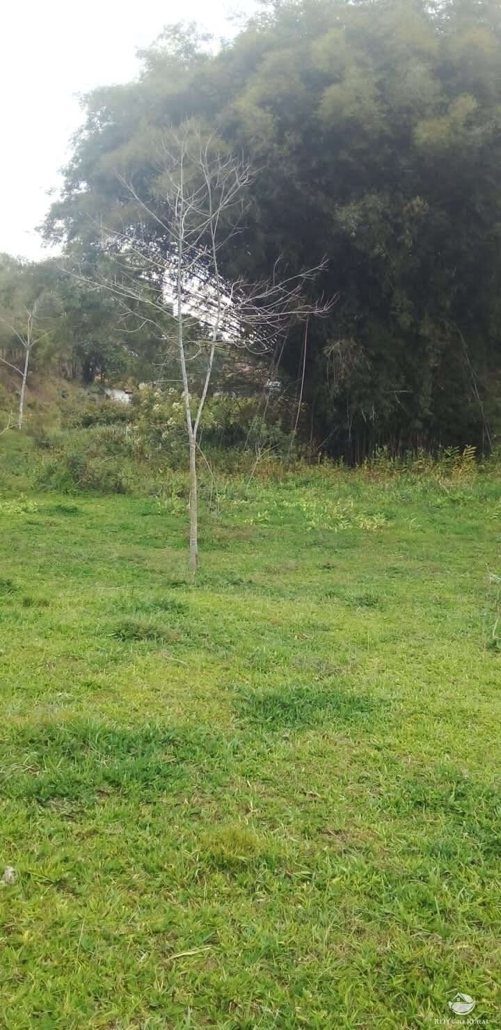 Chácara em Monteiro Lobato/São Paulo — Ref WUNHTT — Imagem 42