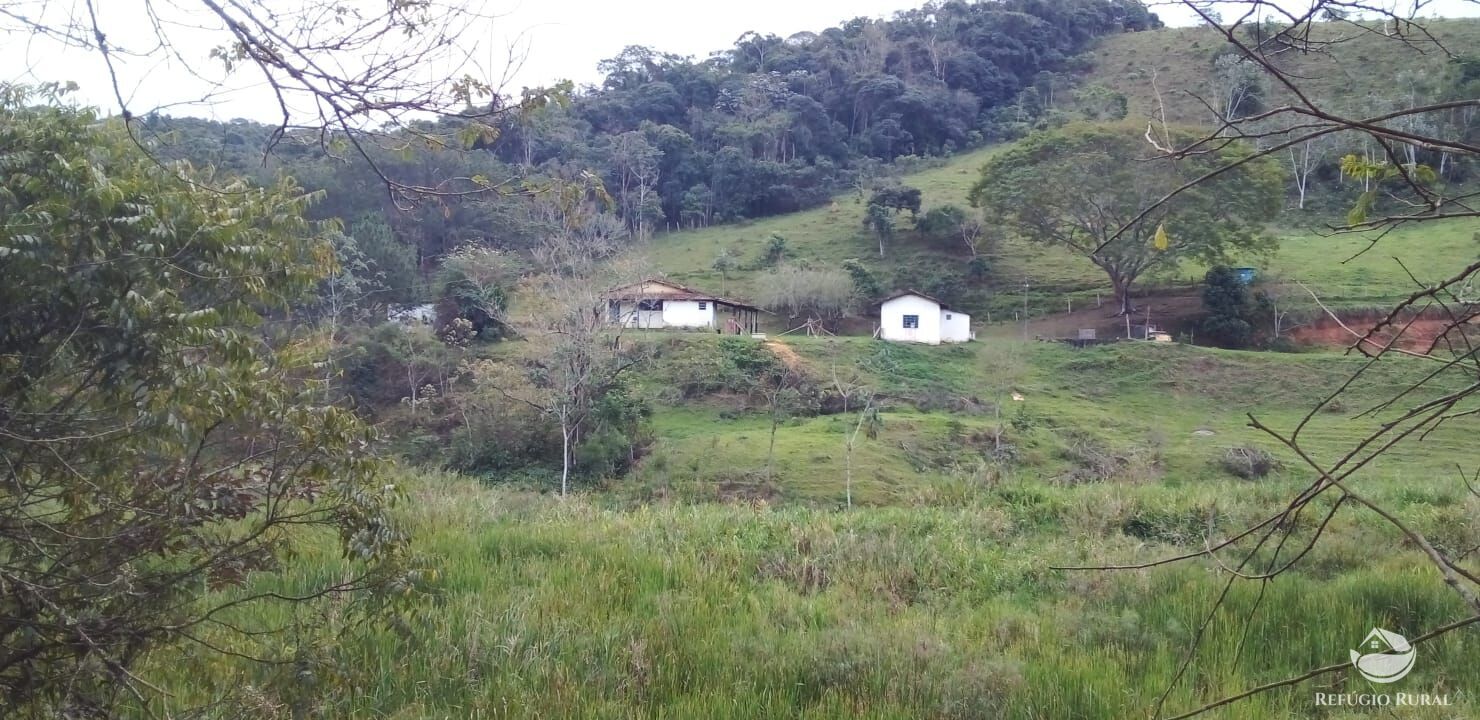 Chácara, 3 quartos, 5 hectares - Foto 1