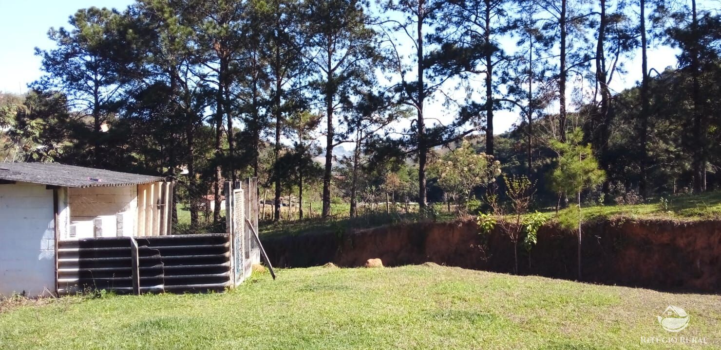 Chácara, 3 quartos, 5 hectares - Foto 5