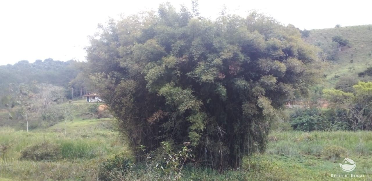 Chácara em Monteiro Lobato/São Paulo — Ref WUNHTT — Imagem 44