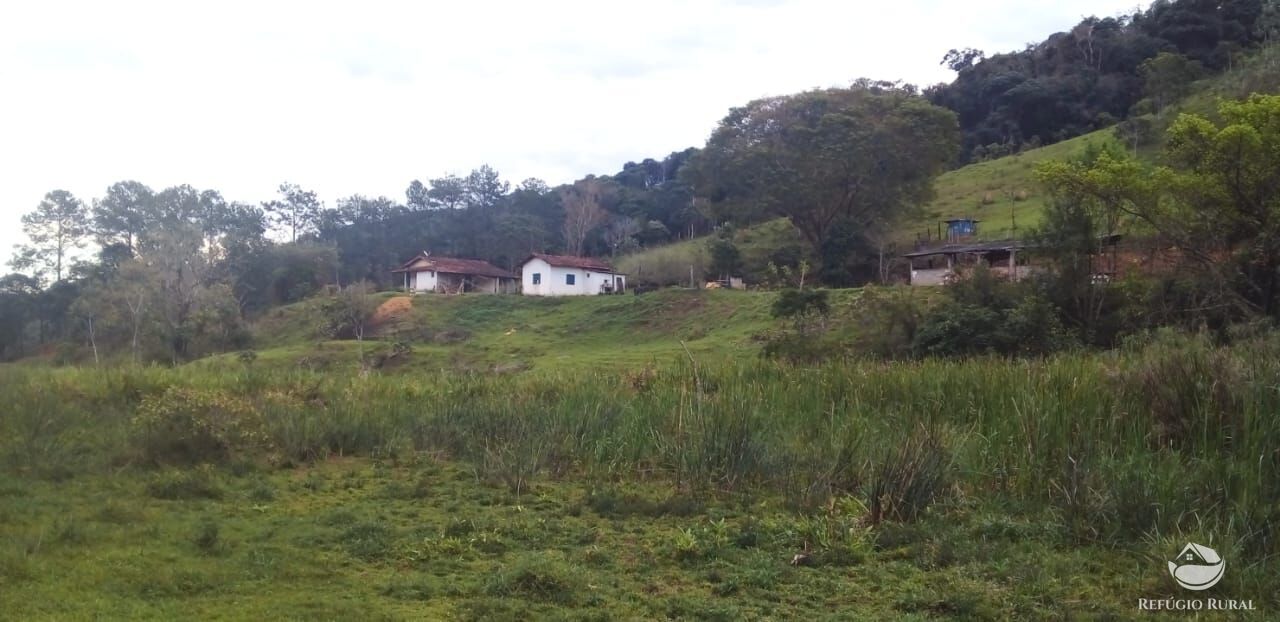 Chácara, 3 quartos, 5 hectares - Foto 4