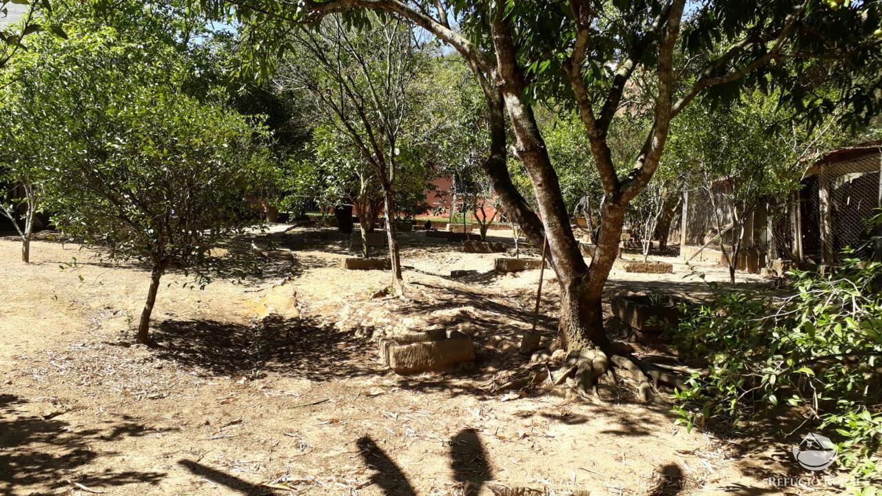 Chácara à venda com 3 quartos, 2000m² - Foto 14