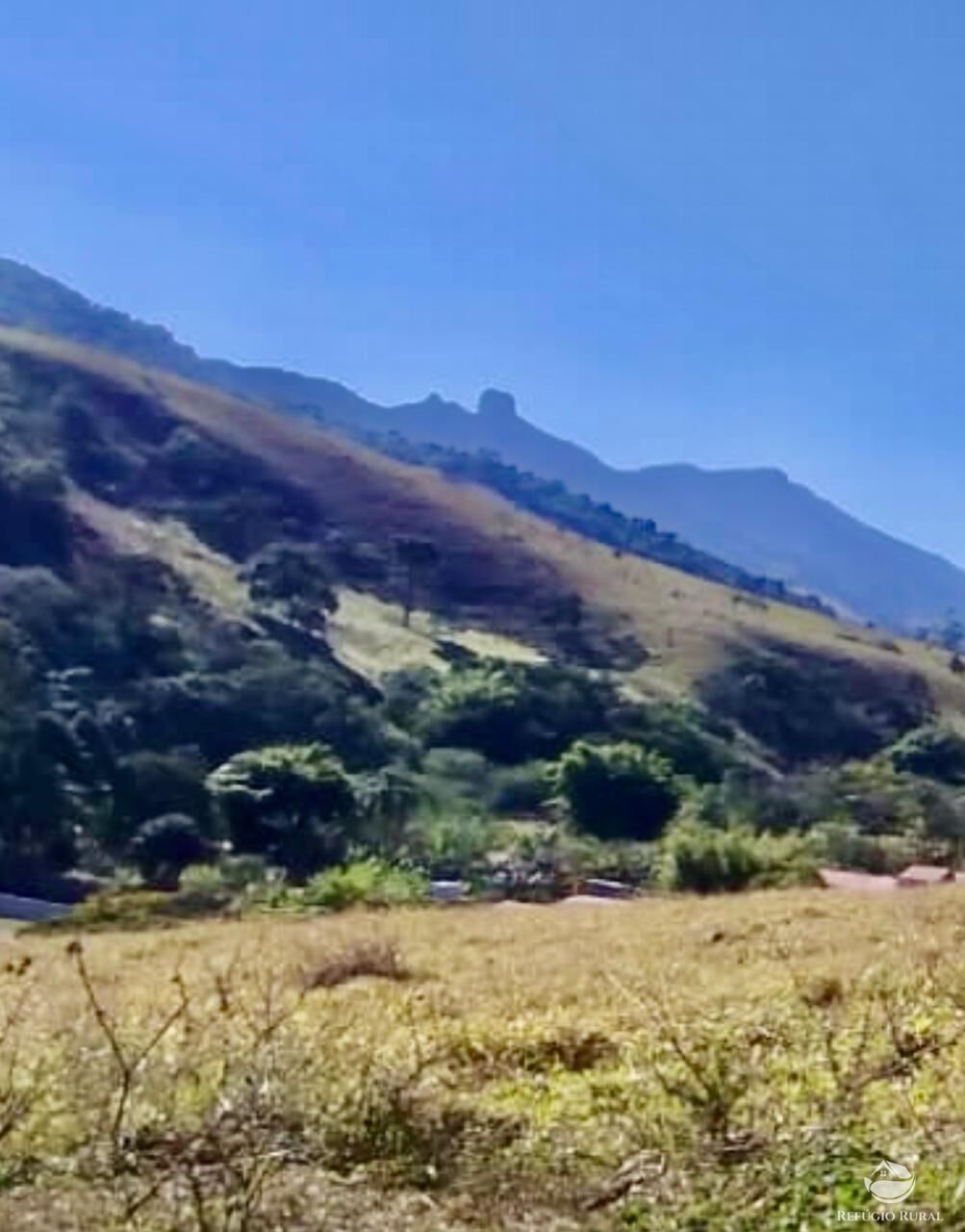 Terreno à venda, 121000m² - Foto 3