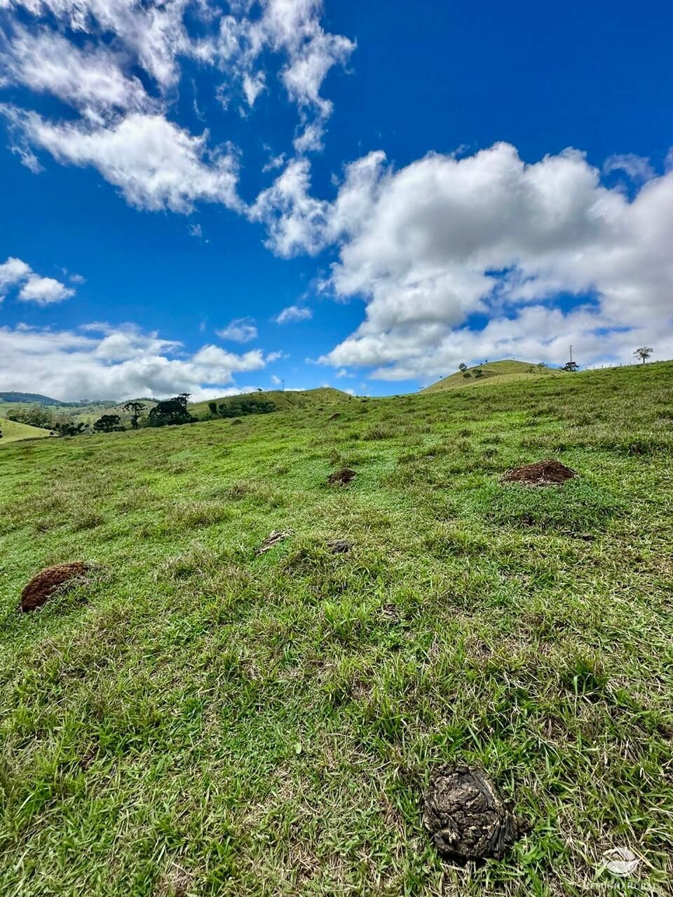 Terreno à venda, 121000m² - Foto 12