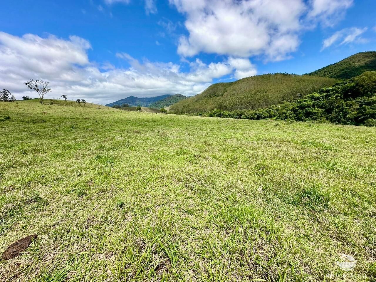 Terreno à venda, 121000m² - Foto 14