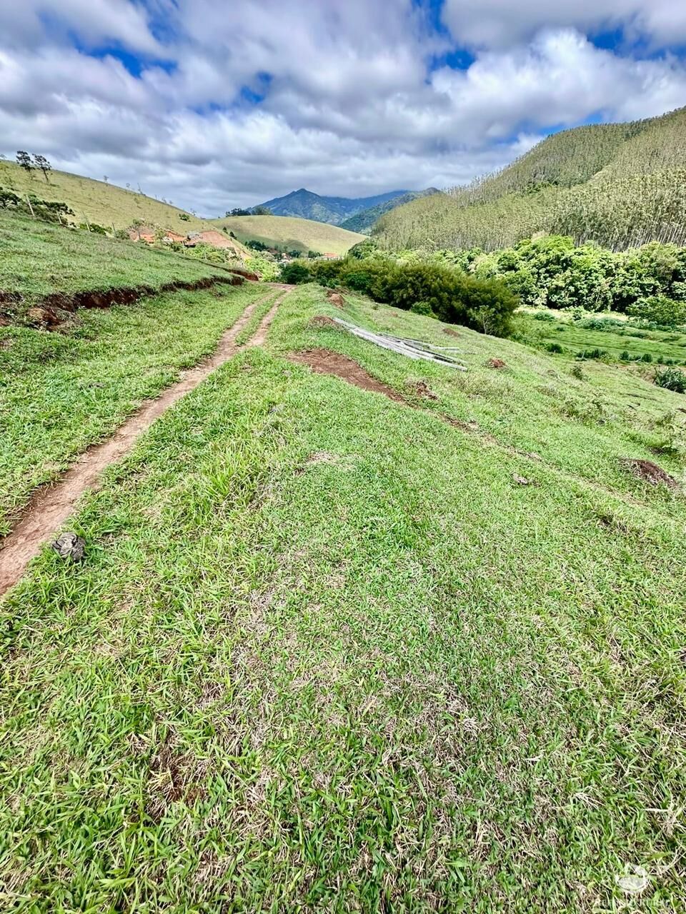Terreno à venda, 121000m² - Foto 22