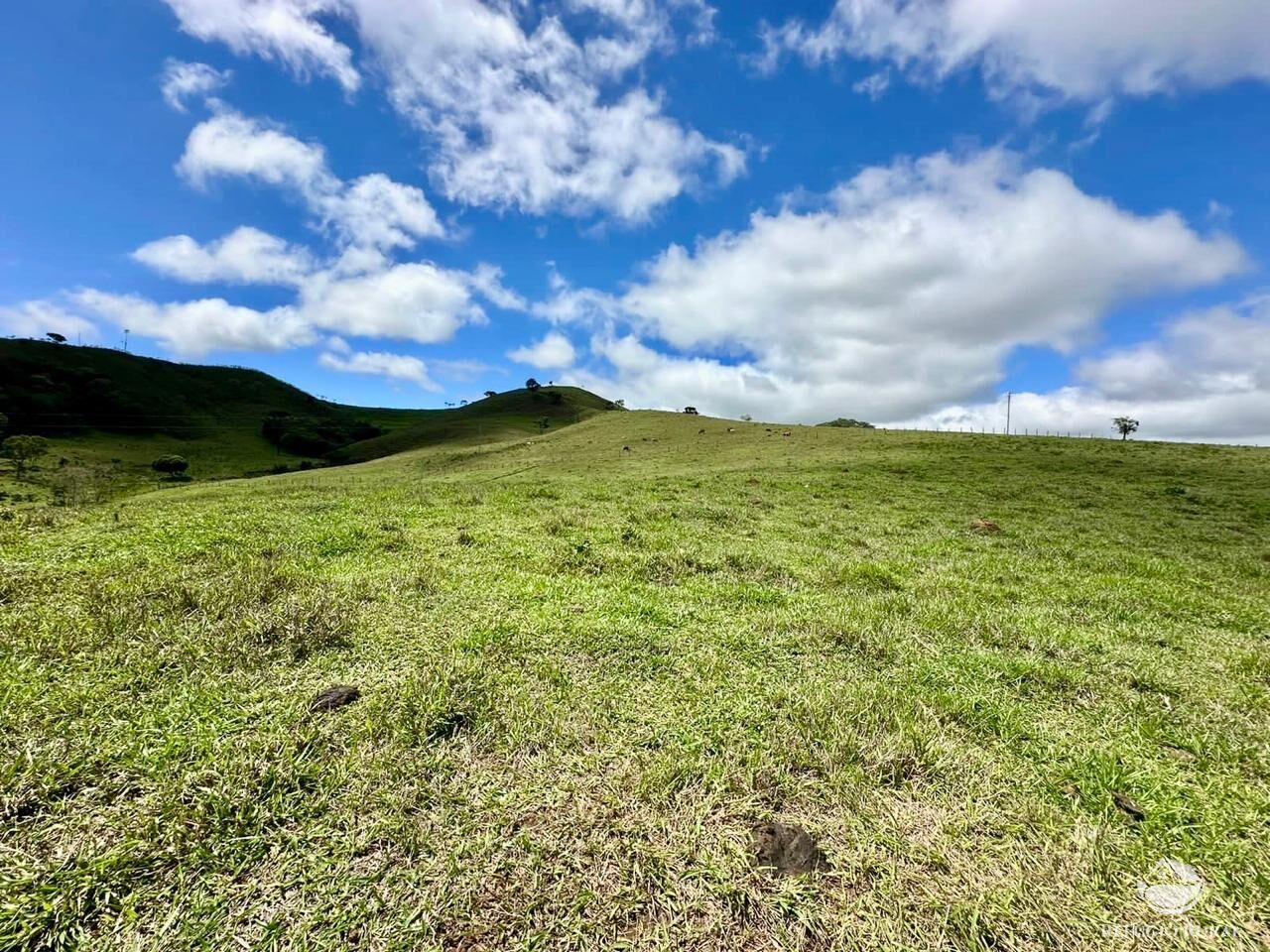 Terreno à venda, 121000m² - Foto 5