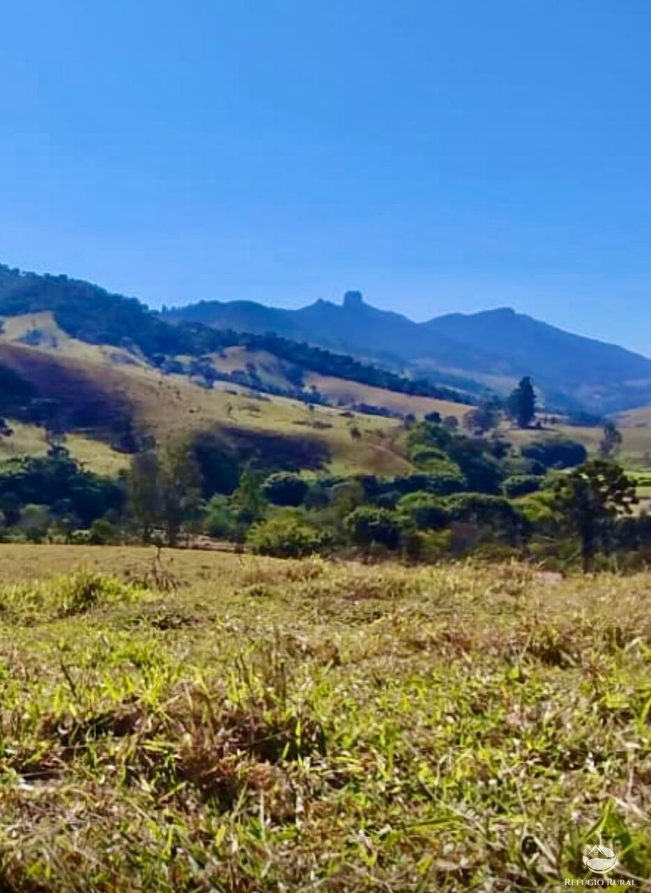 Terreno à venda, 121000m² - Foto 2