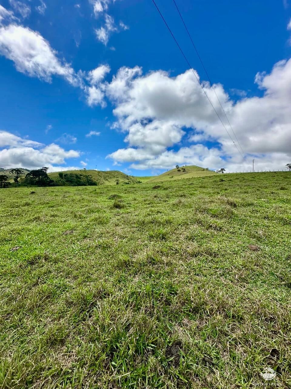 Terreno à venda, 121000m² - Foto 13