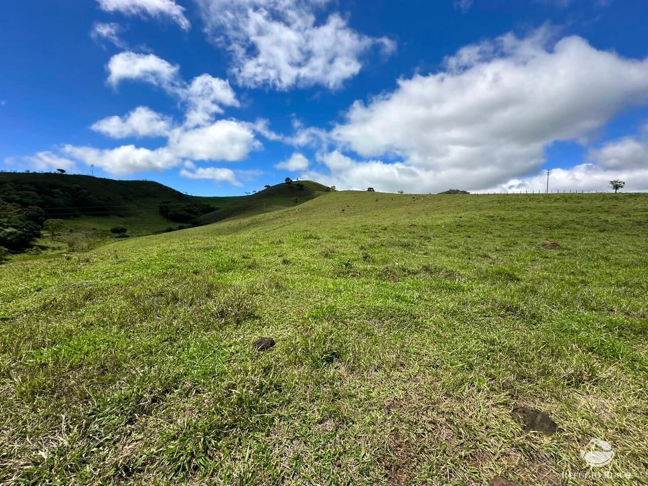 Terreno à venda, 121000m² - Foto 23