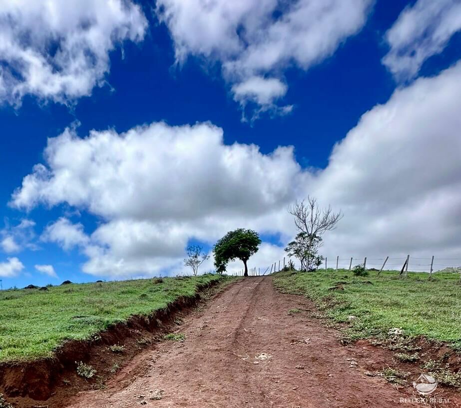 Terreno à venda, 121000m² - Foto 4