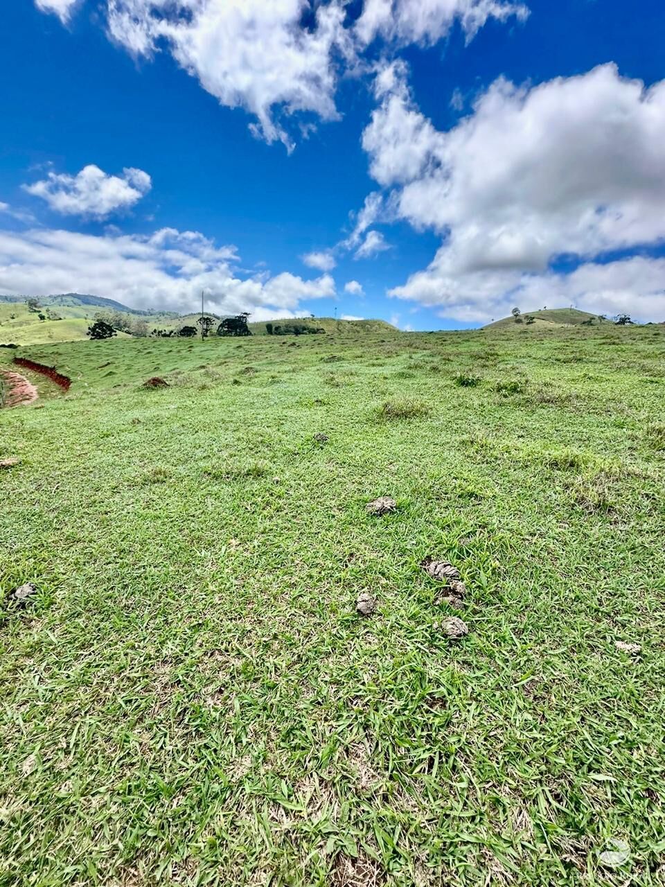 Terreno à venda, 121000m² - Foto 6