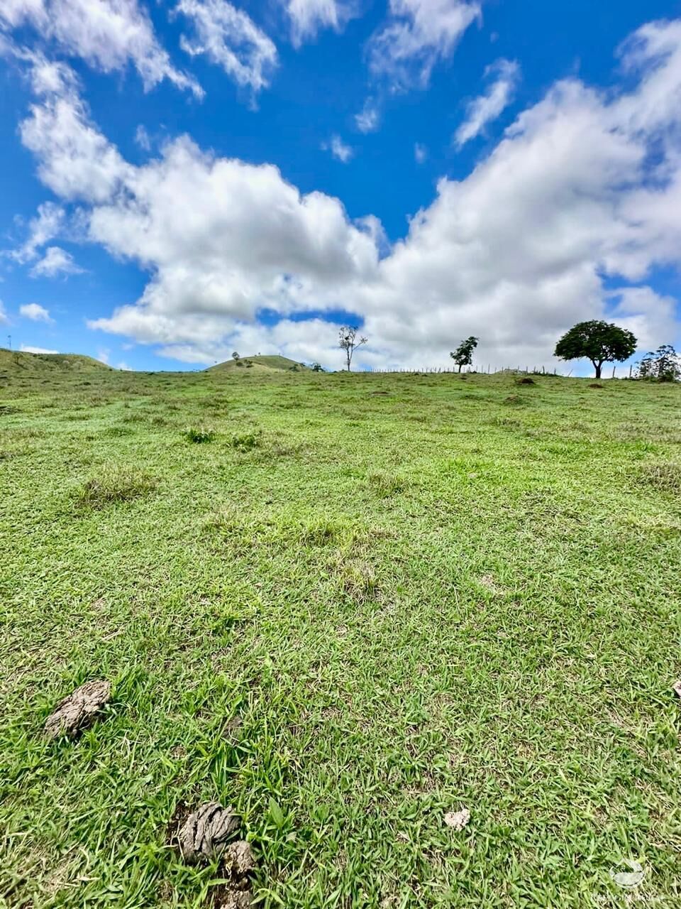 Terreno à venda, 121000m² - Foto 20