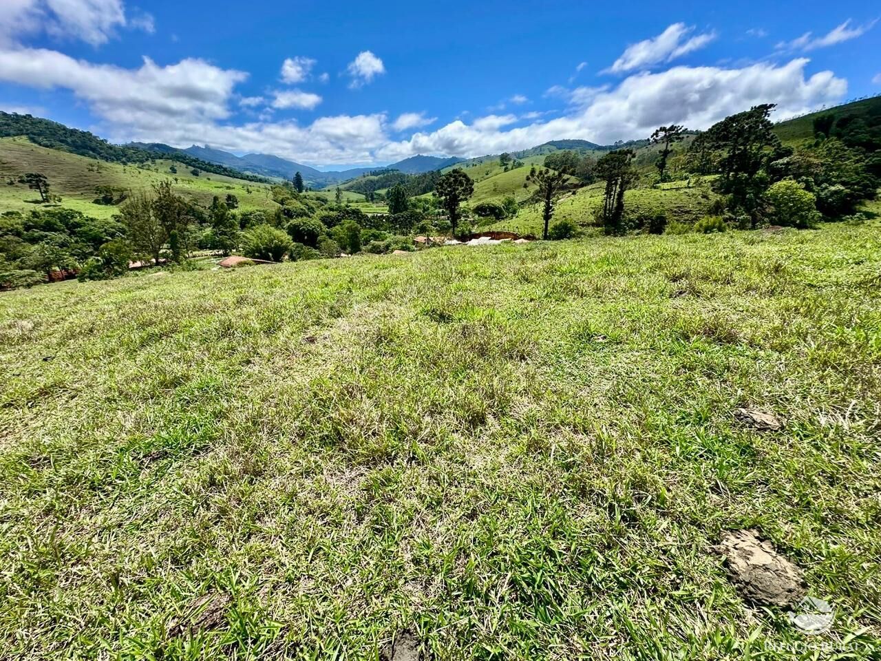 Terreno à venda, 121000m² - Foto 10