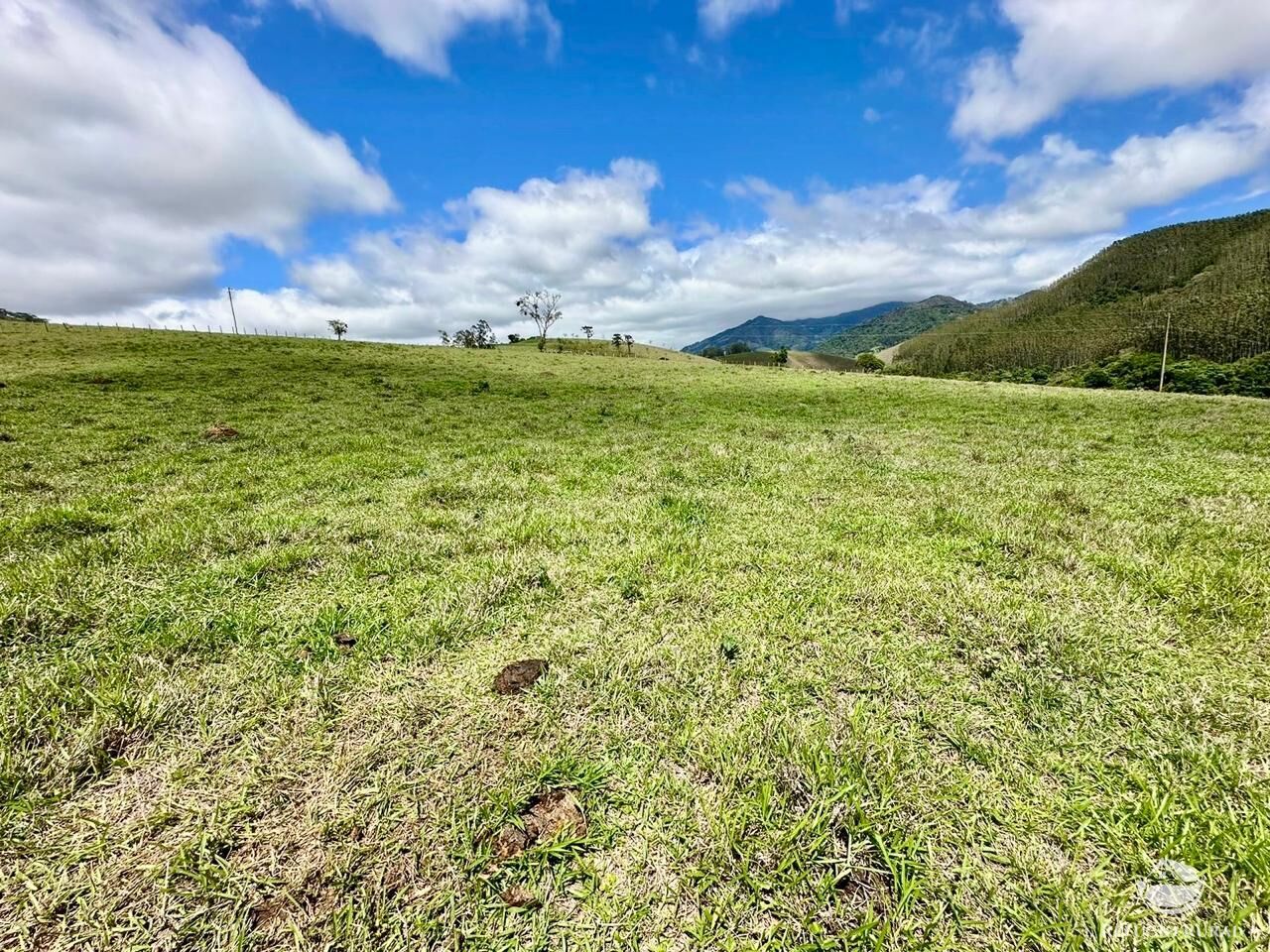Terreno à venda, 121000m² - Foto 26