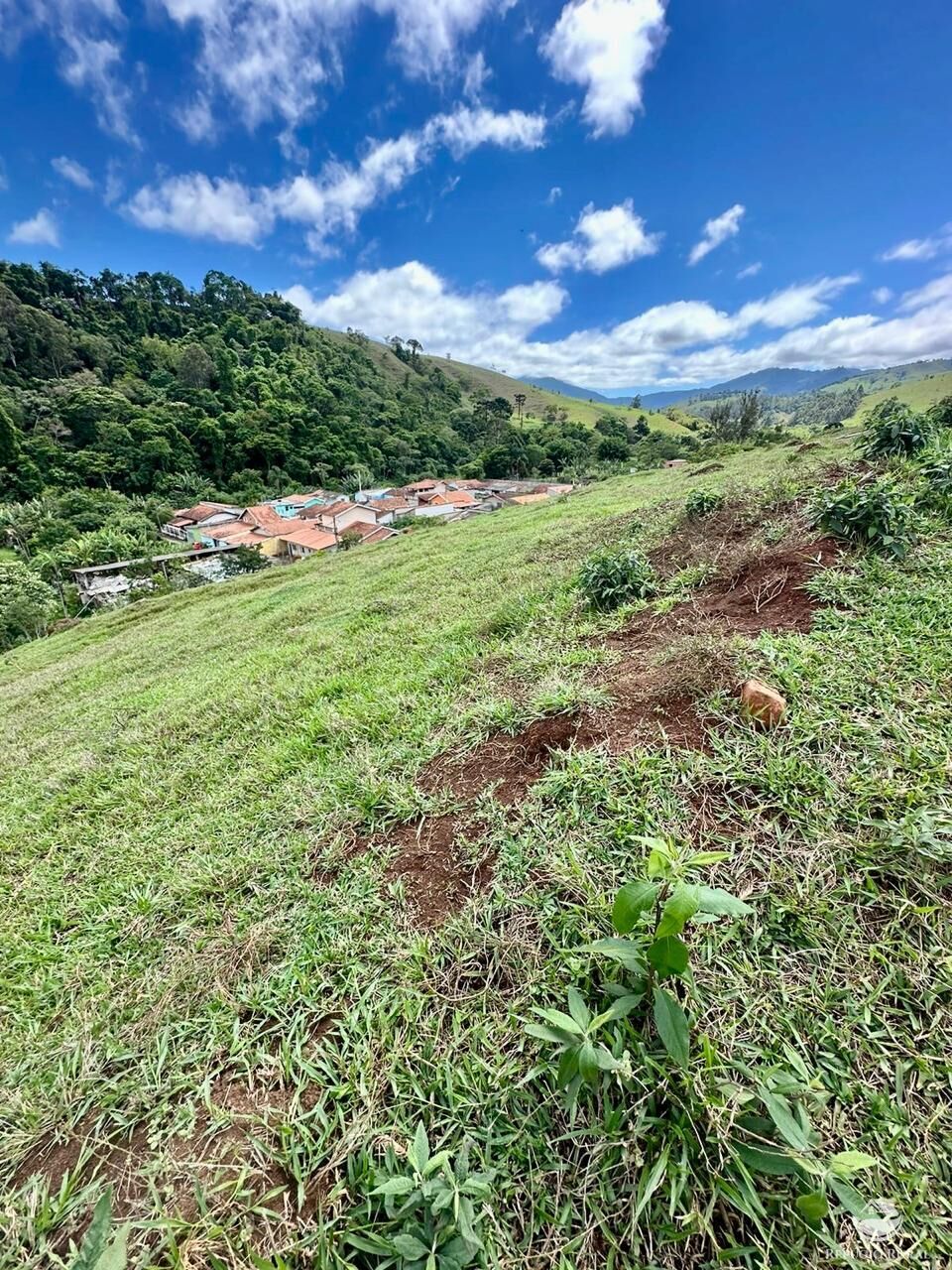 Terreno à venda, 121000m² - Foto 8