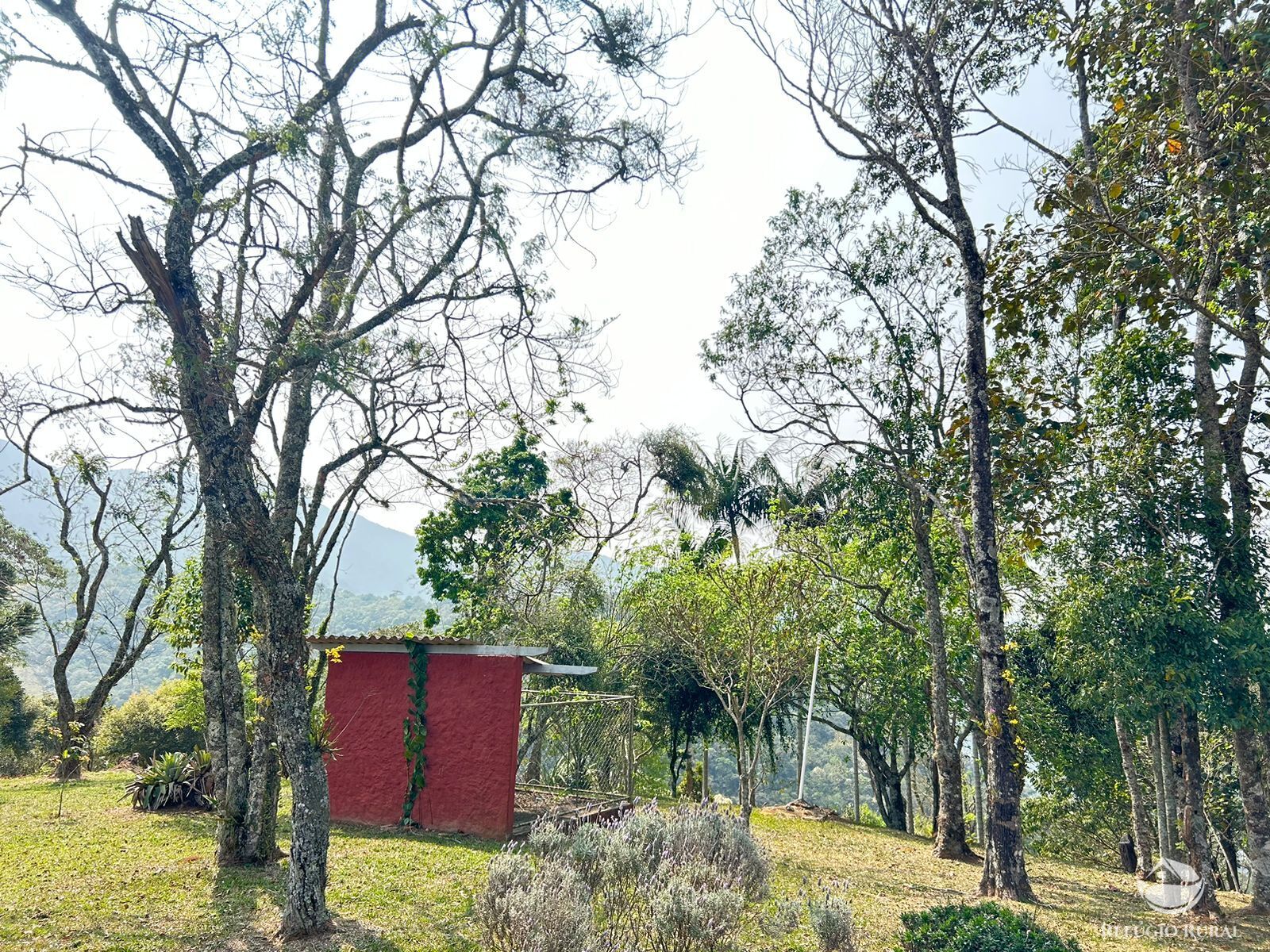 Fazenda à venda com 4 quartos, 360000m² - Foto 49