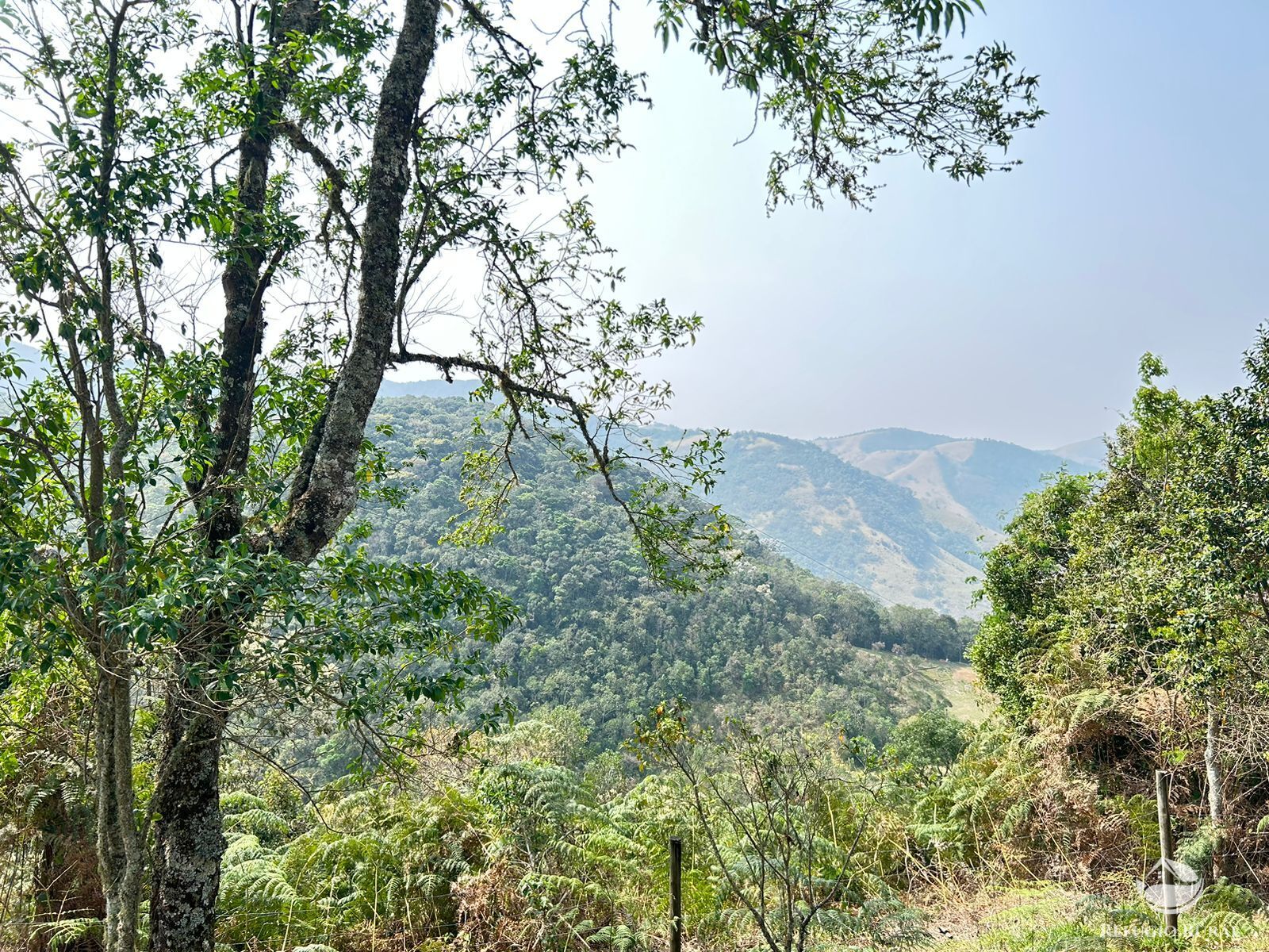 Fazenda à venda com 4 quartos, 360000m² - Foto 24