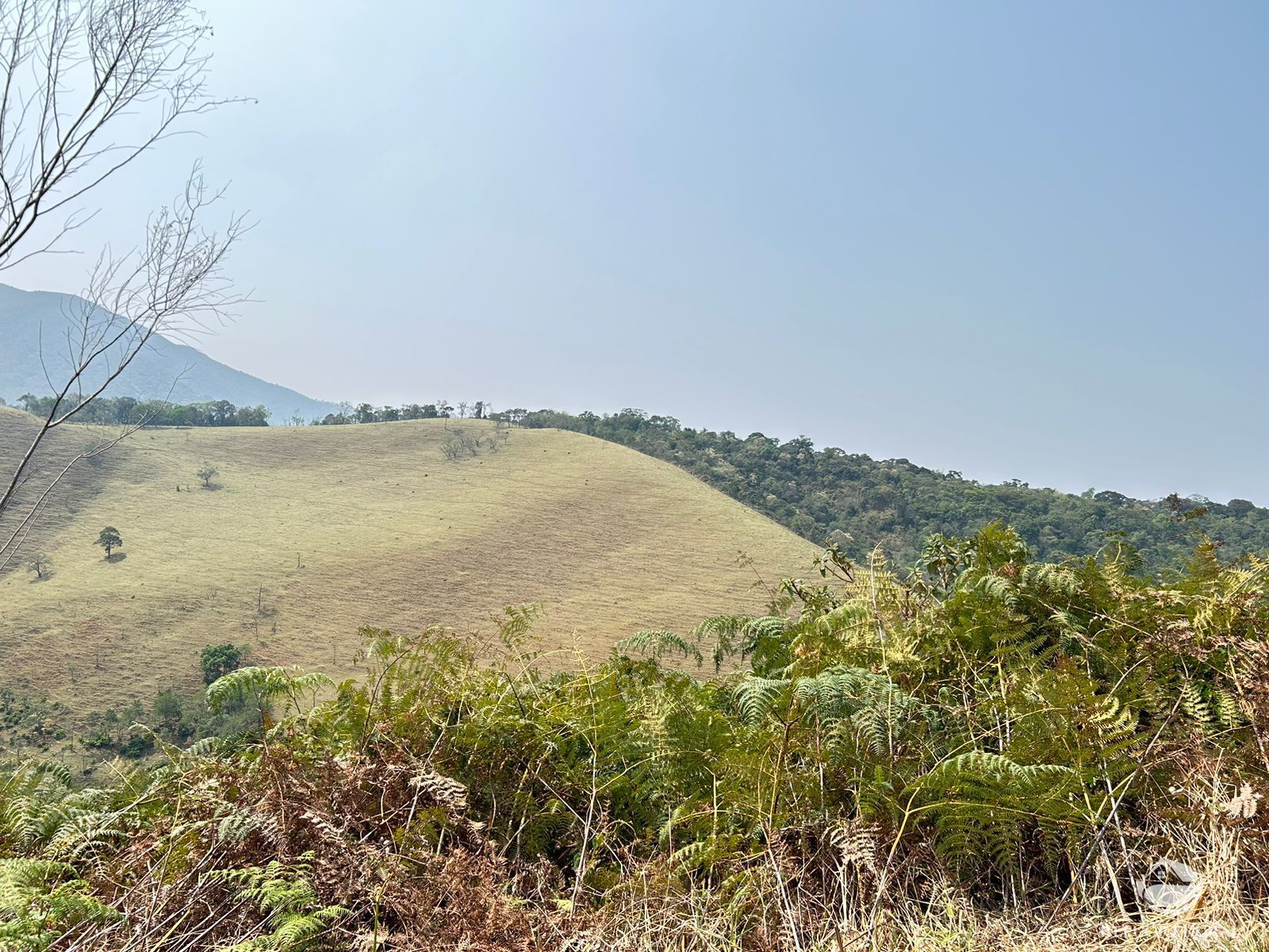 Fazenda à venda com 4 quartos, 360000m² - Foto 7