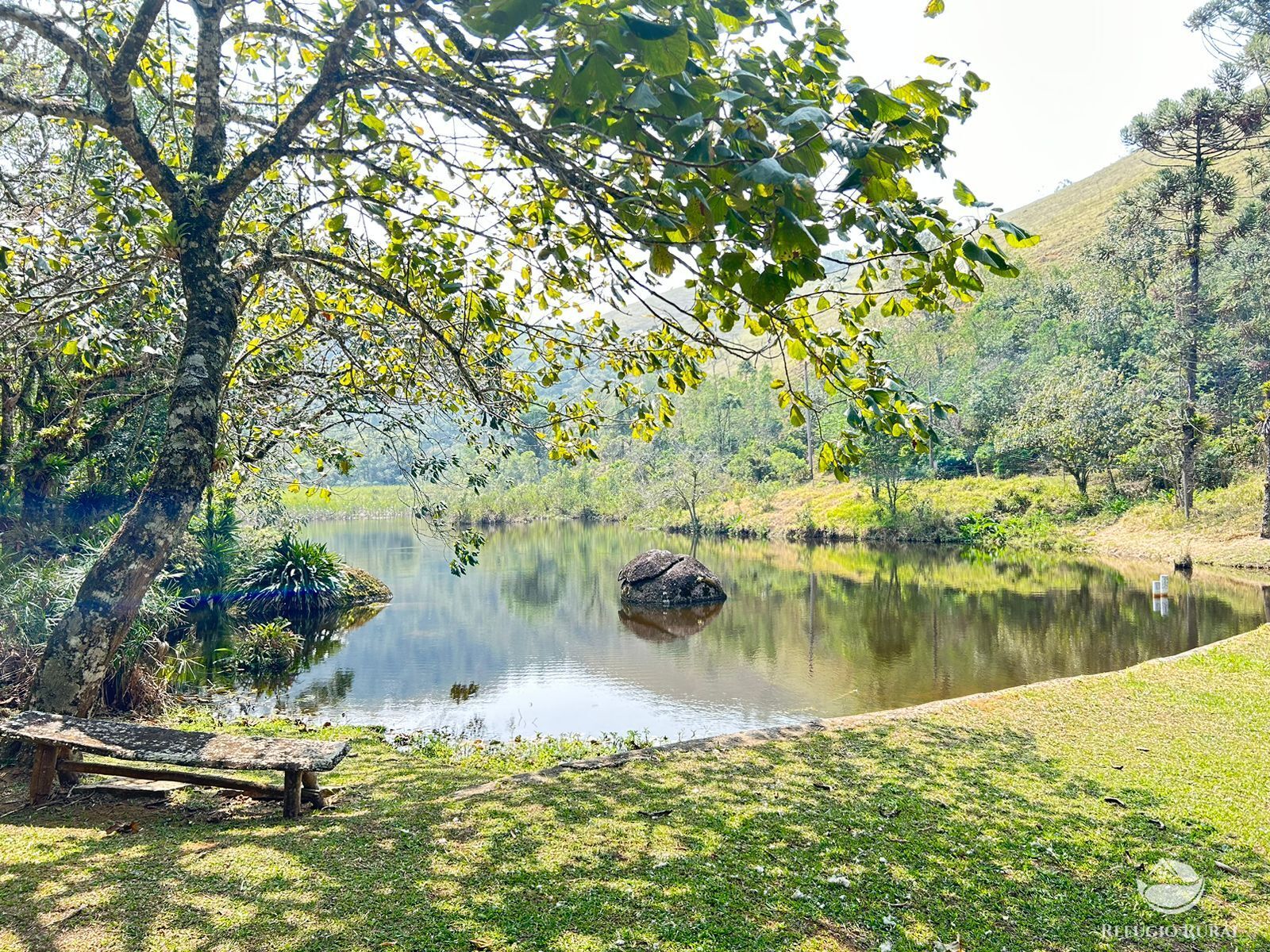 Fazenda à venda com 4 quartos, 360000m² - Foto 8