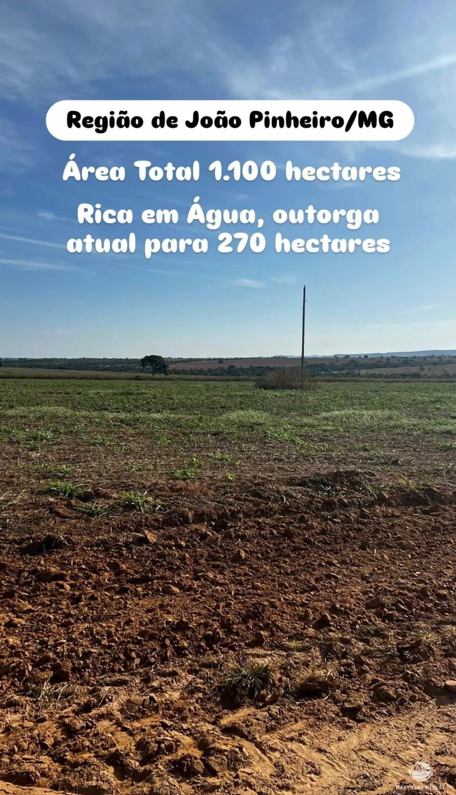 Fazenda à venda com 2 quartos, 11000000m² - Foto 1