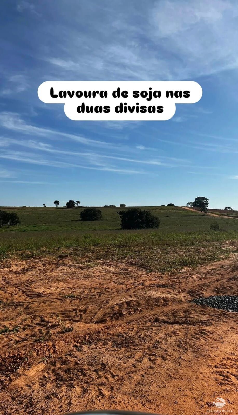 Fazenda à venda com 2 quartos, 11000000m² - Foto 4