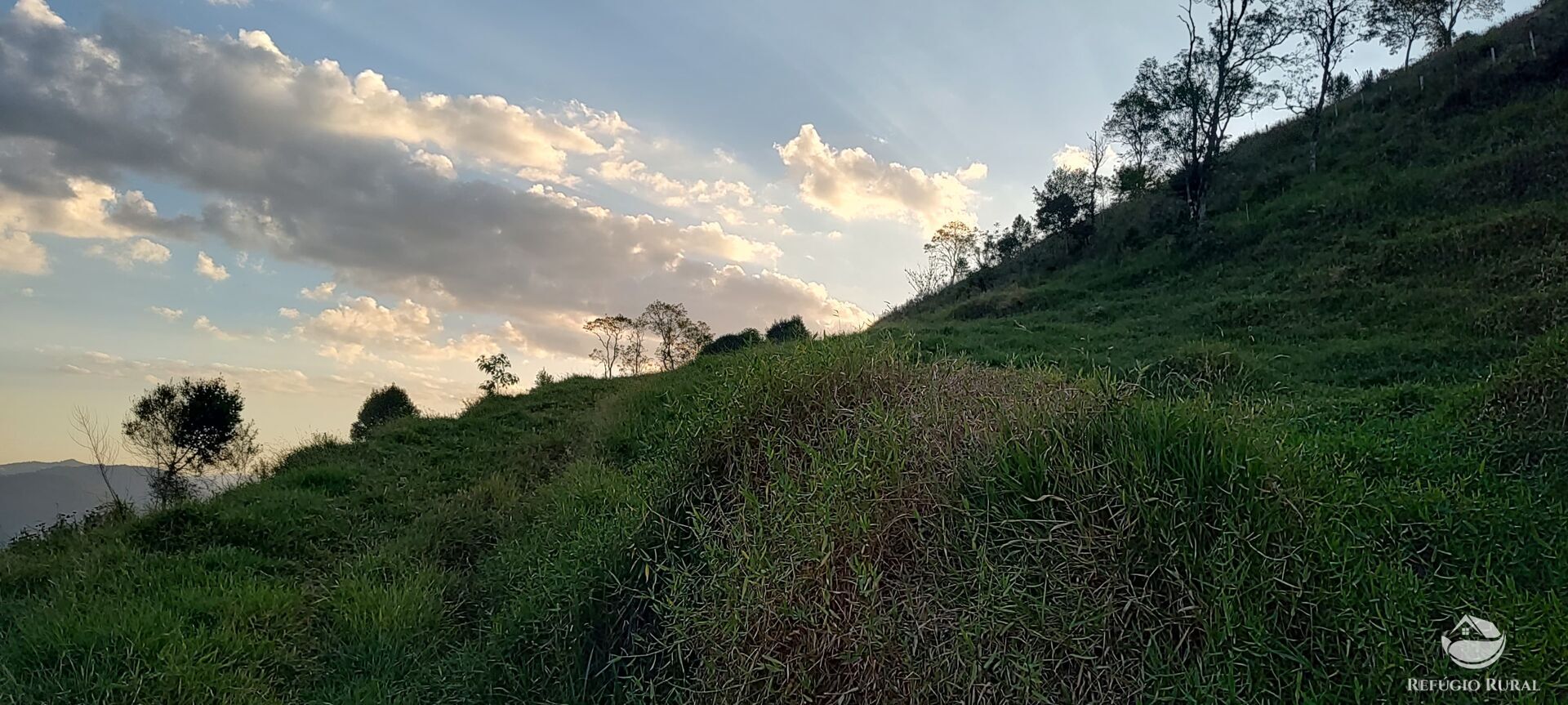 Terreno à venda, 30000m² - Foto 7