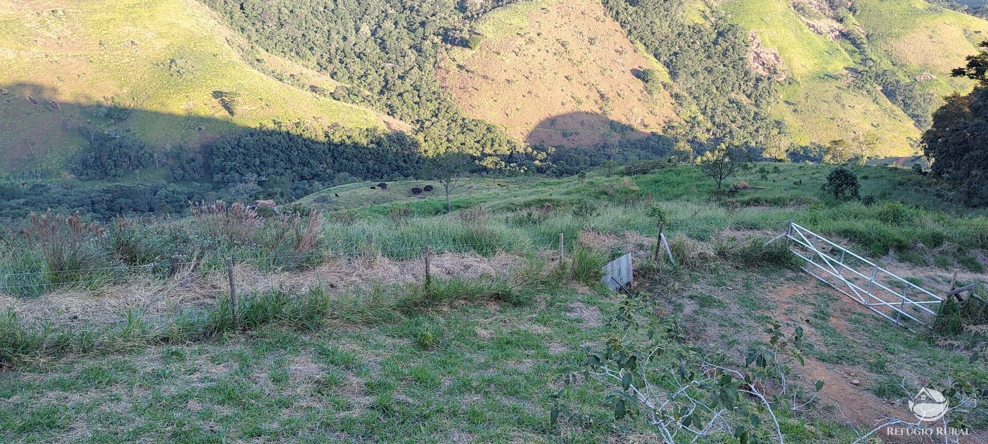 Terreno à venda, 30000m² - Foto 6